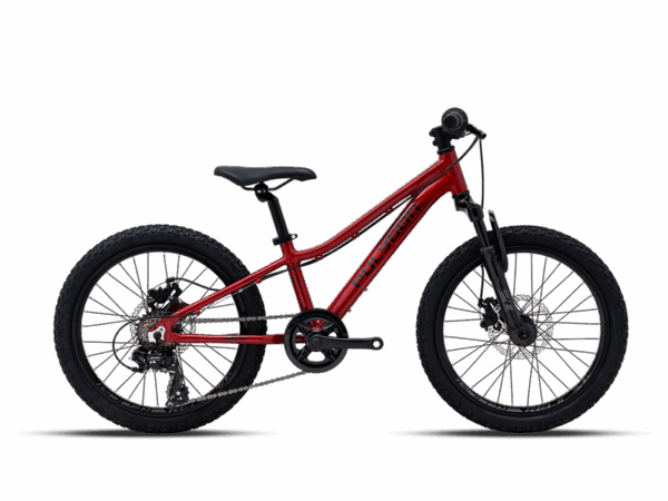 Vélo enfant POLYGON Relic 20